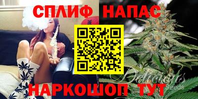 стаф Бугуруслан