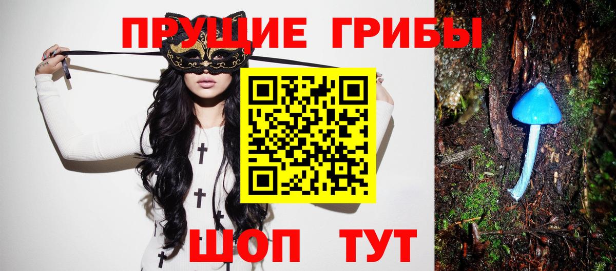 Галлюциногенные грибы Psilocybine cubensis  наркотики  Галлюциногенные грибы прущие грибы  Приморско-Ахтарск  Вход с VPN 